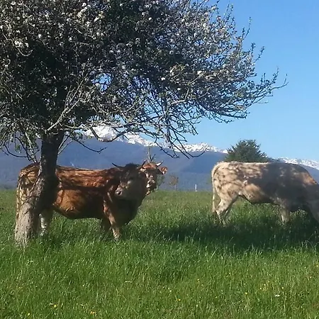 La Milvue Bed & Breakfast *